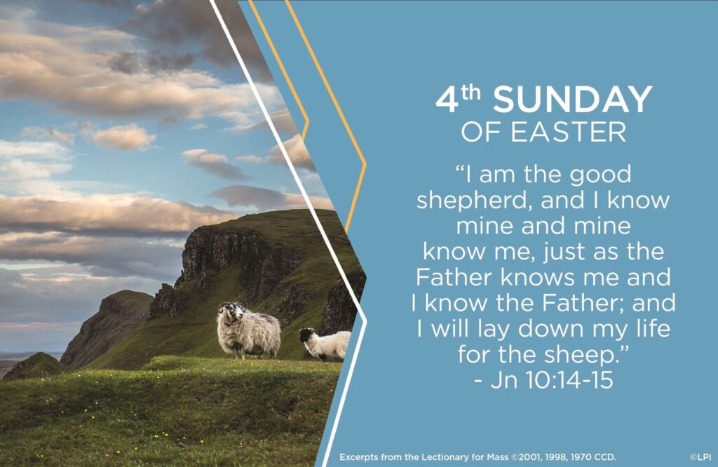 Bulletin for the 4th Week of Easter -April 21, 2024